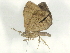  ( - BIOUG64399-A07)  @13 [ ] CreativeCommons - Attribution (2021) CBG Photography Group Centre for Biodiversity Genomics