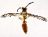  ( - BIOUG64399-F10)  @11 [ ] CreativeCommons - Attribution (2021) CBG Photography Group Centre for Biodiversity Genomics