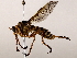  ( - BIOUG72913-C06)  @11 [ ] CreativeCommons - Attribution (2021) CBG Photography Group Centre for Biodiversity Genomics