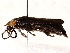  ( - BIOUG72914-A01)  @11 [ ] CreativeCommons - Attribution (2021) CBG Photography Group Centre for Biodiversity Genomics