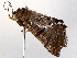  ( - BIOUG72914-C09)  @11 [ ] CreativeCommons - Attribution (2021) CBG Photography Group Centre for Biodiversity Genomics