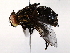  ( - BIOUG72914-F08)  @11 [ ] CreativeCommons - Attribution (2021) CBG Photography Group Centre for Biodiversity Genomics