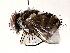  ( - BIOUG72914-G05)  @11 [ ] CreativeCommons - Attribution (2021) CBG Photography Group Centre for Biodiversity Genomics