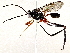  ( - BIOUG72915-H02)  @11 [ ] CreativeCommons - Attribution (2021) CBG Photography Group Centre for Biodiversity Genomics