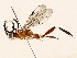  ( - BIOUG73641-D03)  @11 [ ] CreativeCommons - Attribution (2021) CBG Photography Group Centre for Biodiversity Genomics
