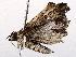 ( - BIOUG73642-C09)  @11 [ ] CreativeCommons - Attribution (2021) CBG Photography Group Centre for Biodiversity Genomics