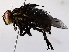  ( - BIOUG73642-G08)  @11 [ ] CreativeCommons - Attribution (2021) CBG Photography Group Centre for Biodiversity Genomics