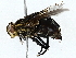  ( - BIOUG73671-C05)  @11 [ ] CreativeCommons - Attribution (2022) CBG Photography Group Centre for Biodiversity Genomics