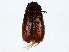  ( - BIOUG73671-E08)  @11 [ ] CreativeCommons - Attribution (2022) CBG Photography Group Centre for Biodiversity Genomics