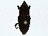  ( - BIOUG73671-E11)  @11 [ ] CreativeCommons - Attribution (2022) CBG Photography Group Centre for Biodiversity Genomics
