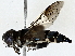  ( - BIOUG73671-H09)  @11 [ ] CreativeCommons - Attribution (2022) CBG Photography Group Centre for Biodiversity Genomics