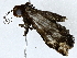  ( - BIOUG76515-G12)  @11 [ ] CreativeCommons - Attribution (2022) CBG Photography Group Centre for Biodiversity Genomics