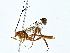  ( - BIOUG76516-B10)  @11 [ ] CreativeCommons - Attribution (2022) CBG Photography Group Centre for Biodiversity Genomics