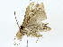  ( - BIOUG77717-A10)  @11 [ ] CreativeCommons - Attribution (2022) CBG Photography Group Centre for Biodiversity Genomics