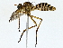  ( - BIOUG77764-C04)  @11 [ ] CreativeCommons - Attribution (2022) CBG Photography Group Centre for Biodiversity Genomics