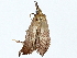  ( - BIOUG76516-D11)  @13 [ ] CreativeCommons - Attribution (2022) CBG Photography Group Centre for Biodiversity Genomics