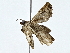  ( - BIOUG77717-F07)  @11 [ ] CreativeCommons - Attribution (2022) CBG Photography Group Centre for Biodiversity Genomics