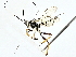  ( - BIOUG77718-B02)  @11 [ ] CreativeCommons - Attribution (2022) CBG Photography Group Centre for Biodiversity Genomics
