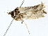  ( - BIOUG77718-G12)  @11 [ ] CreativeCommons - Attribution (2022) CBG Photography Group Centre for Biodiversity Genomics