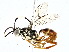  ( - BIOUG77719-B04)  @11 [ ] CreativeCommons - Attribution (2022) CBG Photography Group Centre for Biodiversity Genomics