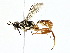  ( - BIOUG77719-E02)  @11 [ ] CreativeCommons - Attribution (2022) CBG Photography Group Centre for Biodiversity Genomics