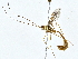  ( - BIOUG77734-A09)  @11 [ ] CreativeCommons - Attribution (2022) CBG Photography Group Centre for Biodiversity Genomics