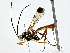  ( - BIOUG77735-B03)  @11 [ ] CreativeCommons - Attribution (2022) CBG Photography Group Centre for Biodiversity Genomics