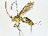  ( - BIOUG77735-E02)  @11 [ ] CreativeCommons - Attribution (2022) CBG Photography Group Centre for Biodiversity Genomics