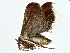  ( - BIOUG77749-F05)  @11 [ ] CreativeCommons - Attribution (2022) CBG Photography Group Centre for Biodiversity Genomics