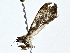  ( - BIOUG77750-D12)  @11 [ ] CreativeCommons - Attribution (2022) CBG Photography Group Centre for Biodiversity Genomics