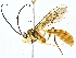  ( - BIOUG77751-C11)  @11 [ ] CreativeCommons - Attribution (2022) CBG Photography Group Centre for Biodiversity Genomics