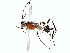  ( - BIOUG77752-F07)  @11 [ ] CreativeCommons - Attribution (2022) CBG Photography Group Centre for Biodiversity Genomics