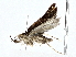  ( - BIOUG77752-G10)  @11 [ ] CreativeCommons - Attribution (2022) CBG Photography Group Centre for Biodiversity Genomics