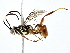  ( - BIOUG77753-D03)  @11 [ ] CreativeCommons - Attribution (2022) CBG Photography Group Centre for Biodiversity Genomics