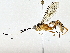  ( - BIOUG77764-H08)  @11 [ ] CreativeCommons - Attribution (2022) CBG Photography Group Centre for Biodiversity Genomics