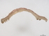  (erebidBioLep01 erebidBioLep359 - BIOUG77720-H07)  @11 [ ] CreativeCommons - Attribution (2022) CBG Photography Group Centre for Biodiversity Genomics