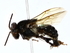  ( - BIOUG77736-G08)  @11 [ ] CreativeCommons - Attribution (2022) CBG Photography Group Centre for Biodiversity Genomics