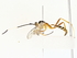  ( - BIOUG77736-H01)  @11 [ ] CreativeCommons - Attribution (2022) CBG Photography Group Centre for Biodiversity Genomics