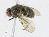  ( - CBG-A17531-C05)  @11 [ ] CreativeCommons - Attribution Share-Alike (2023) CBG Photography Group Centre for Biodiversity Genomics