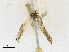  ( - CBG-A17532-A07)  @11 [ ] CreativeCommons - Attribution Share-Alike (2023) CBG Photography Group Centre for Biodiversity Genomics