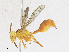  ( - CBG-A17536-G02)  @11 [ ] CreativeCommons - Attribution Share - Alike (2023) CBG Photography Group Centre for Biodiversity Genomics