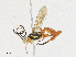  ( - CBG-A17536-G04)  @11 [ ] CreativeCommons - Attribution Share - Alike (2023) CBG Photography Group Centre for Biodiversity Genomics
