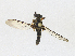  ( - CBG-A17537-B07)  @11 [ ] CreativeCommons - Attribution Share - Alike (2023) CBG Photography Group Centre for Biodiversity Genomics