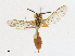  ( - CBG-A17540-C01)  @11 [ ] CreativeCommons - Attribution Share-Alike (2023) CBG Photography Group Centre for Biodiversity Genomics