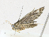  ( - CBG-A17540-F10)  @11 [ ] CreativeCommons - Attribution Share-Alike (2023) CBG Photography Group Centre for Biodiversity Genomics