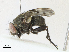  ( - CBG-A17540-F11)  @11 [ ] CreativeCommons - Attribution Share-Alike (2023) CBG Photography Group Centre for Biodiversity Genomics