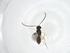  (Pseudognaptodon Malaise6961 - CBG-A20436-C04)  @11 [ ] CreativeCommons - Attribution Share - Alike (2023) Centre for Biodiversity Genomics Centre for Biodiversity Genomics