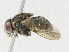  ( - CBG-A21699-F08)  @11 [ ] CreativeCommons - Attribution Share-Alike (2023) CBG Photography Group Centre for Biodiversity Genomics