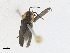  ( - CBG-A21729-A02)  @11 [ ] CreativeCommons - Attribution Share-Alike (2023) CBG Photography Group Centre for Biodiversity Genomics