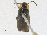  ( - CBG-A21729-B04)  @11 [ ] CreativeCommons - Attribution Share-Alike (2023) CBG Photography Group Centre for Biodiversity Genomics
